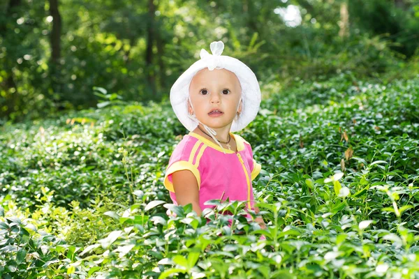 The child, a little girl was hiding in the bushes by the parents, the child is studying the forest flora, development and education of the child, walk in the park