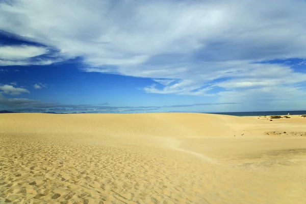 Duna de areia em Fuerteventura — Fotografia de Stock