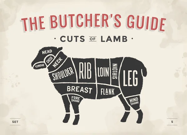 Cut of beef set. Poster Butcher diagram and scheme - Lamb. Vintage typographic hand-drawn. Vector illustration. — Stock Vector