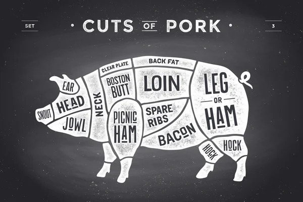 Et dizi kesti. Poster kasap diyagramı, düzeni ve Kılavuzu - domuz eti. Vintage tipografik çizilmiş. Vektör çizim.