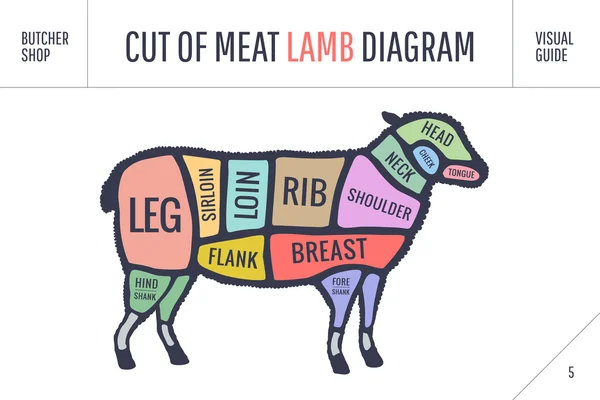 Cut of beef set. Poster Butcher diagram and scheme - Lamb — Stock Vector