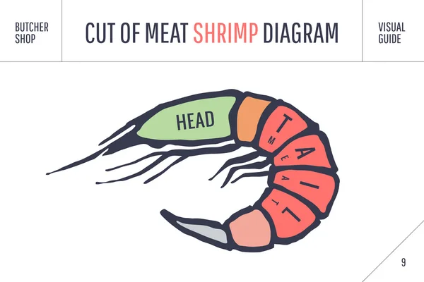 Κόψτε το κρέας συνόλου. Αφίσα χασάπης διάγραμμα και καθεστώς - γαρίδες — Διανυσματικό Αρχείο