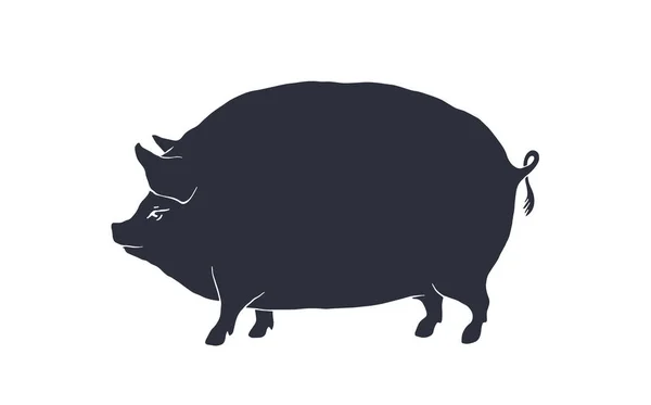 Gris Fläsk Vintage Logo Retro Print För Butchery Kött Butik — Stock vektor