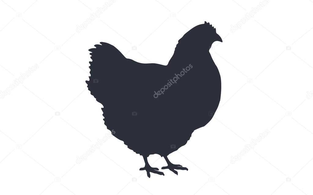 Hen, chicken. Black white silhouette of chicken or hen. Logo, print, poster for butchery meat shop, hen silhouette. Template for meat business, meat shop, restaurant menu. Vector Illustration