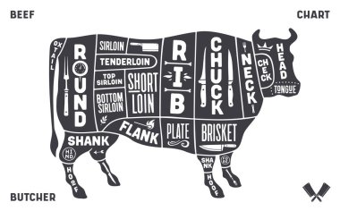 İnek, sığır. Şema, şema, çizelge bifteği, kasap rehberi. Antika baskı, sanat tipografisi, etiket, inek çizimi etiketi, eski usul. Butchery Et Dükkanı için poster ineği. Vektör İllüstrasyonu