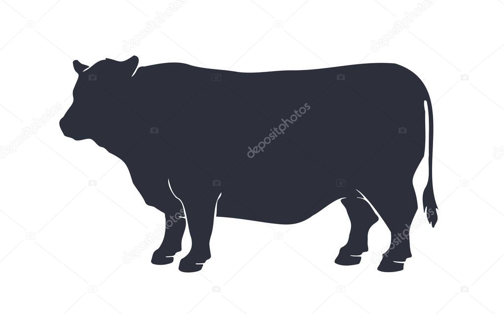 Cow or bull silhouette. Black and white isolated cow or bull silhouette. Vintage retro print for meat business, meat shop, restaurant menu. Logo, sign cow or bull for butchery. Vector Illustration