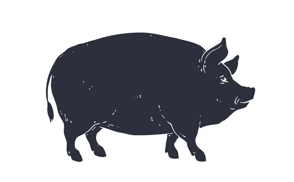 Gris Fläsk Vintage Logo Retro Print För Butchery Kött Butik — Stock vektor