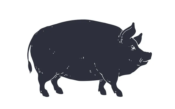 20+ Cochon Nain Stock Illustrations, graphiques vectoriels libre