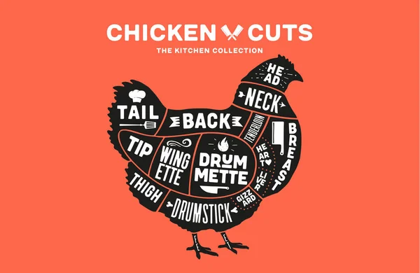 Chicken Hen Scheme Diagram Chart Chicken Butcher Guide Poster Kicthen — Stock Vector