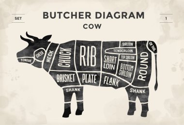 Cut of beef set. Poster Butcher diagram - Cow. Vintage typographic hand-drawn. Vector illustration. clipart