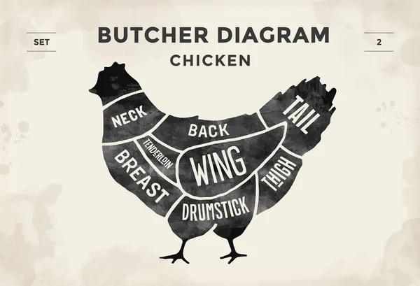 Corte de conjunto de carne. Cartel Carnicero diagrama y esquema - Pollo. Tipografía vintage dibujada a mano. Ilustración vectorial . — Vector de stock