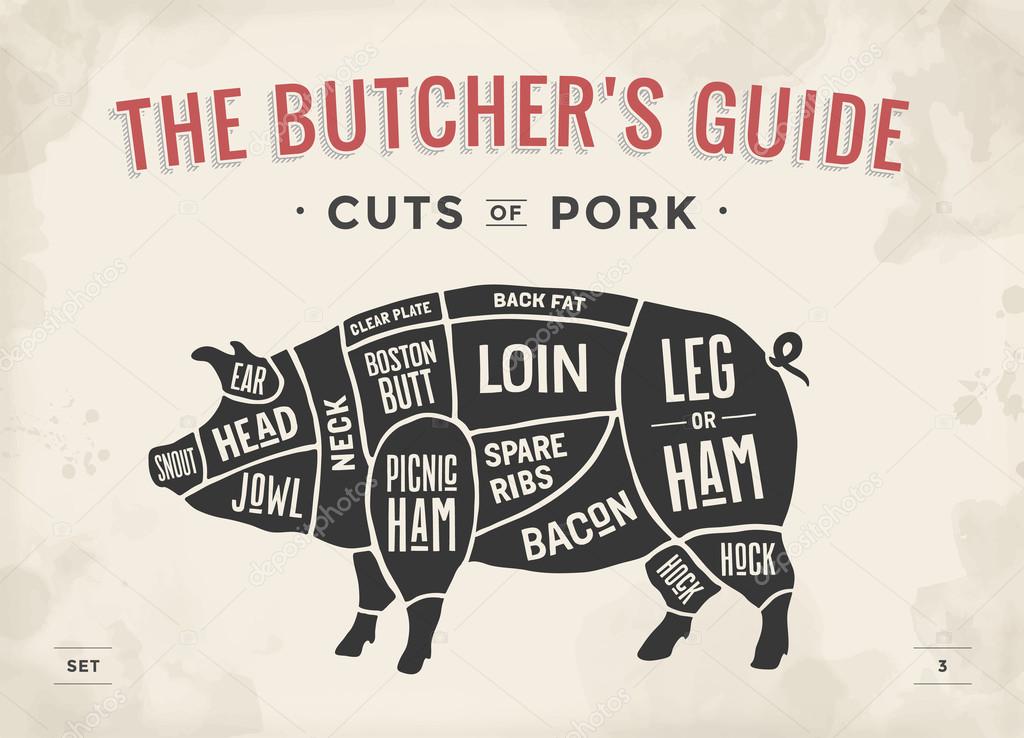 Cut of meat set. Poster Butcher diagram, scheme and guide - Pork. Vintage typographic hand-drawn. Vector illustration.