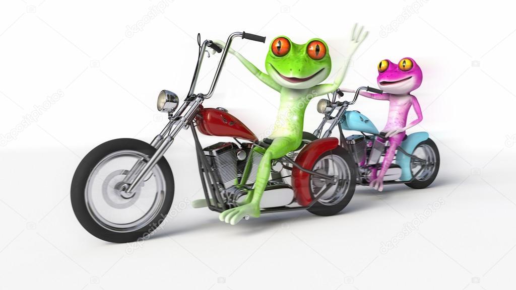 Two Frogs Riding Motorcycles