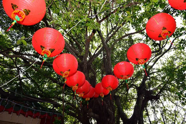 Lantern festival knedlíky — Stock fotografie