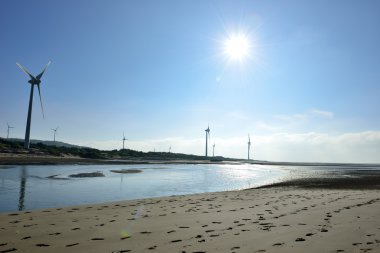 Dalgalar sahil boyunca kesik .