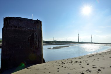 Dalgalar kumsalda gömülmüş .