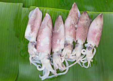 Mürekkep muz üzerinde ham