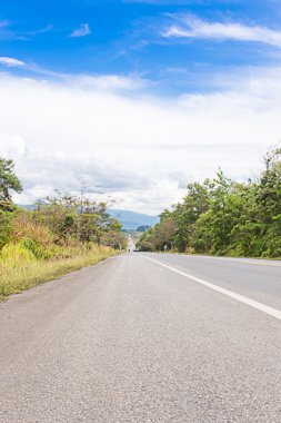 Forest Road