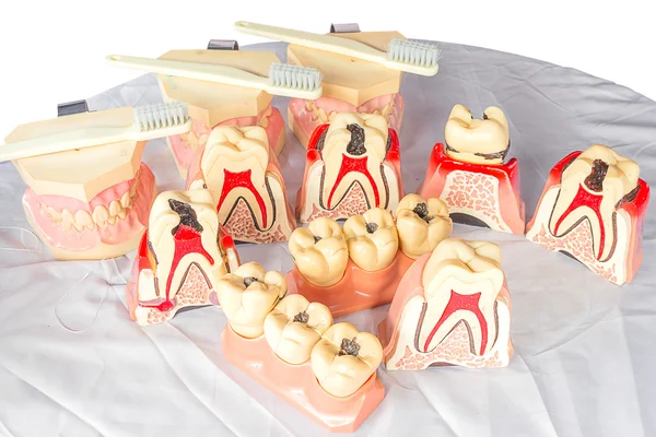 白い背景の上の義歯の材料 — ストック写真