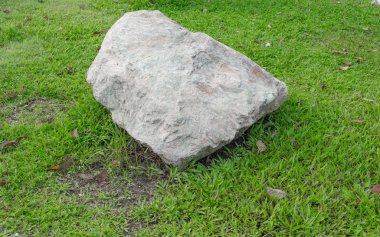 Çimlerde büyük bir taş
