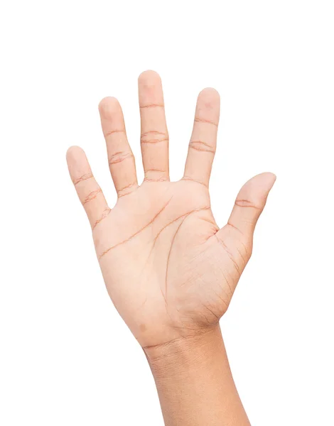 Підрахунок рук номер п'ять ізольовано на білому тлі з відсічним контуром — стокове фото
