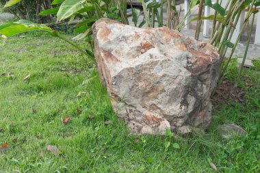 Büyük taş çim. yeşil ot çayır