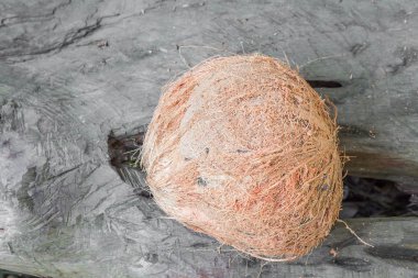 Hindistan cevizi kabuk ve bulanıklık ahşap zemin arka plan.