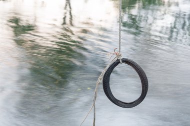 Bir ağaca tutunan lastik salıncak