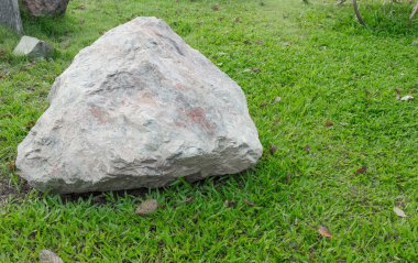 Çimlerde büyük bir taş