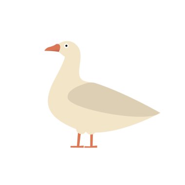 düz çizgi film kaz 