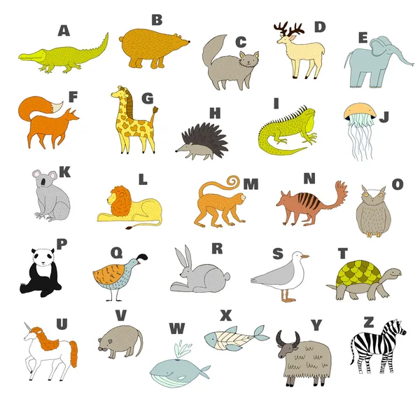 Lindo alfabeto del zoológico — Vector de stock