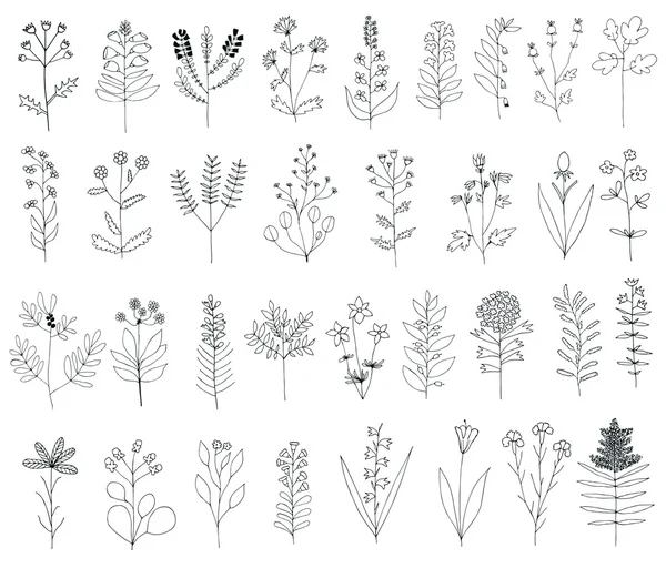 100,000 Small flowers Vector Images