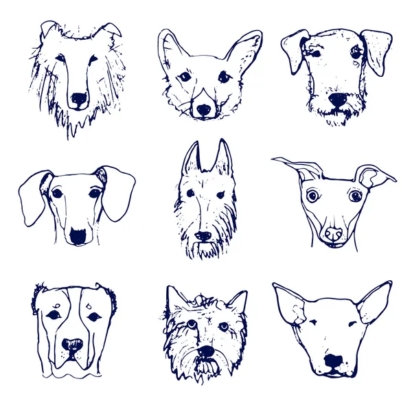 Conjunto de cabezas de perros — Vector de stock