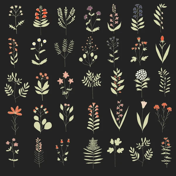 Motif floral sans couture — Image vectorielle