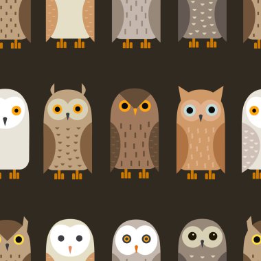 cute owl characters set