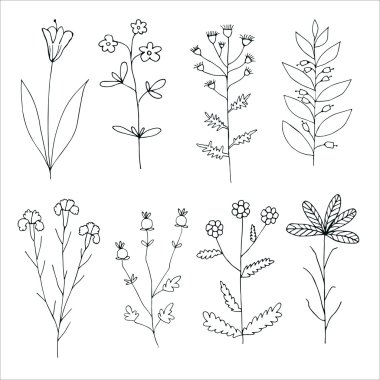 elle çizilmiş çiçek kümesi