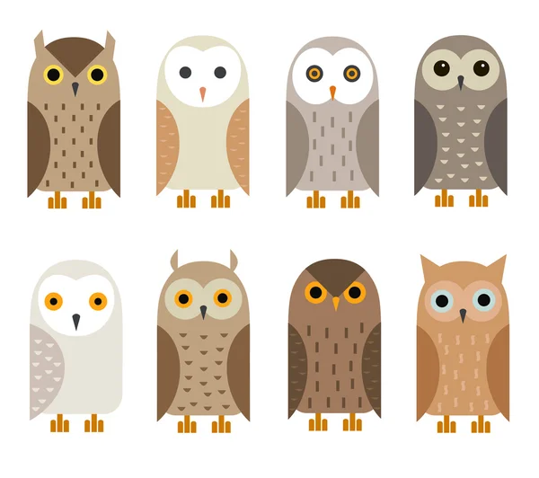 Cute owl characters set — ストックベクタ