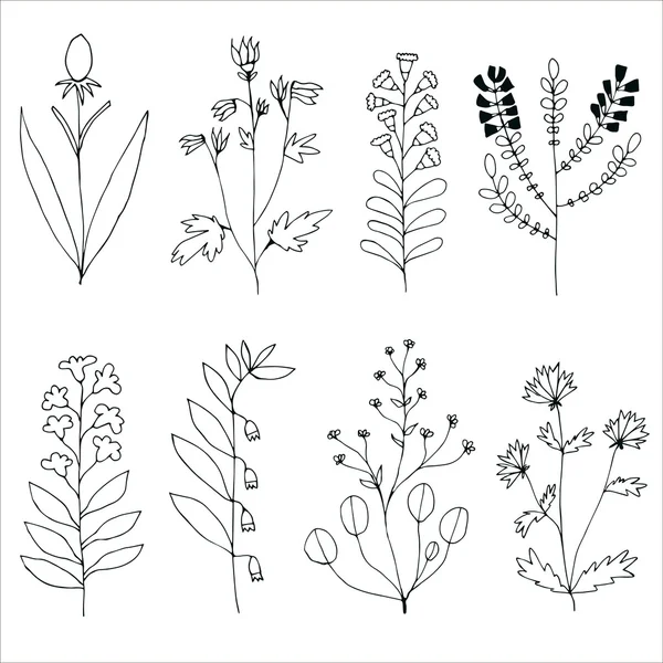 Set of Hand drawn flowers — Stock Vector