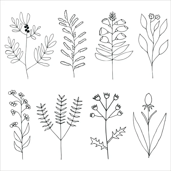 Set of Hand drawn flowers — Stock Vector