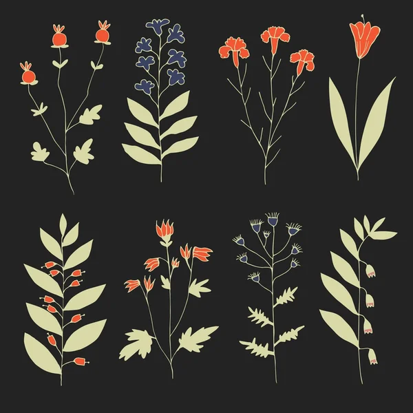 Ensemble de fleurs dessinées à la main — Image vectorielle