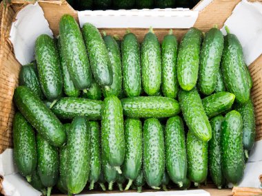 Yeni mahsulün salatalıklarıyla dolu karton kutu.