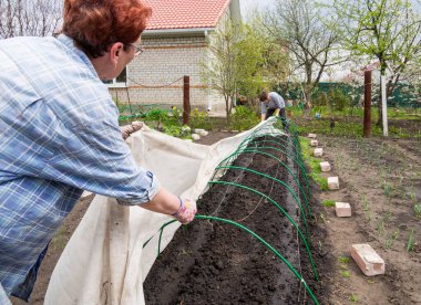 Rusya, Voronezh - 01 Mayıs 2020: Yatağın üzerindeki sera örtülü bir maddeyle kaplıdır