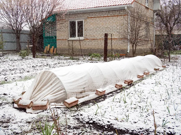 Yaz evlerinde bahar soğuğu ve kar