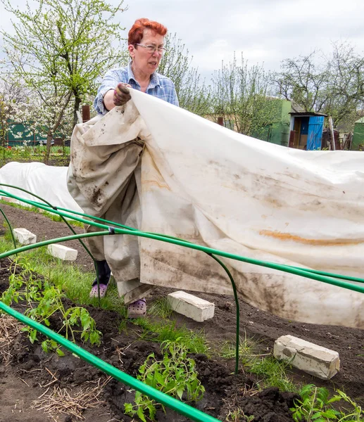 Ryssland Voronezh Maj 2020 Äldre Kvinna Täcker Ett Litet Växthus — Stockfoto