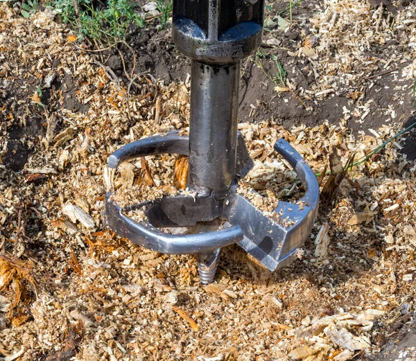Metal kesici eski bir ağacın kütüğünü deliyor.