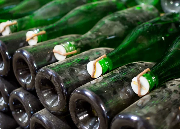 Rader Med Lagrade Champagneflaskor — Stockfoto