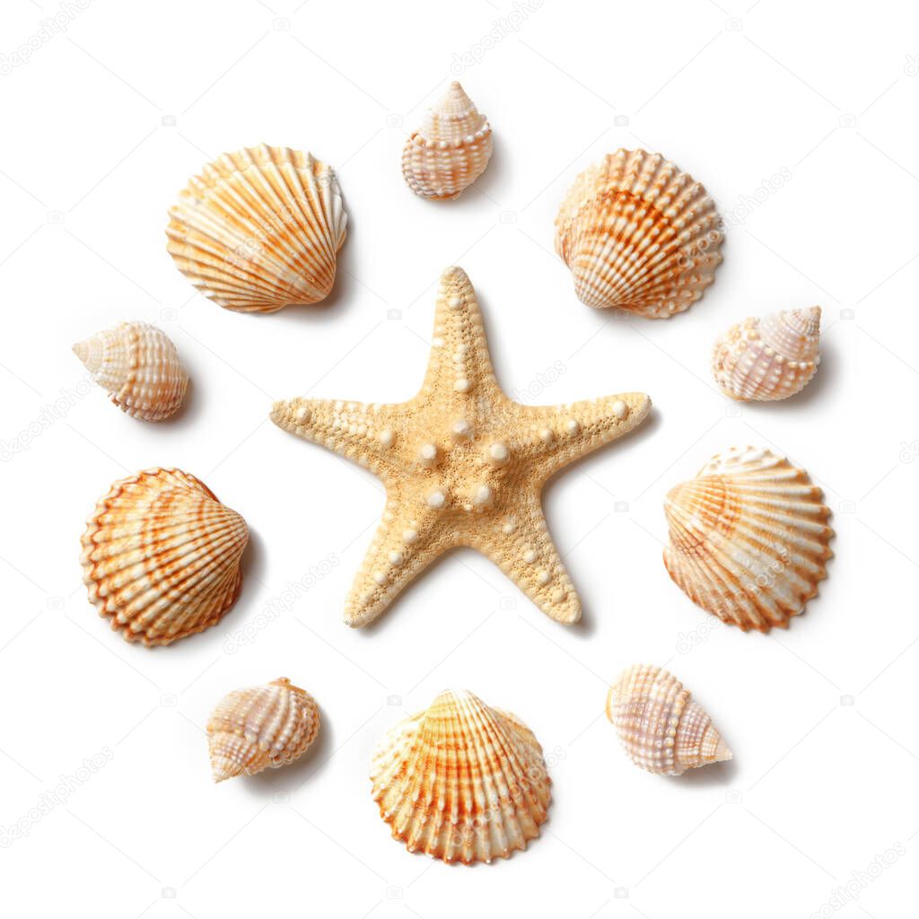Pattern in the form of a circle of sea shells and starfish, isolated on a white background. Flat lay, top view