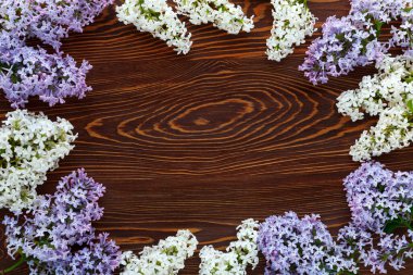 Koyu kahverengi ahşap arka planda beyaz ve mor leylak. Metin için boşluk