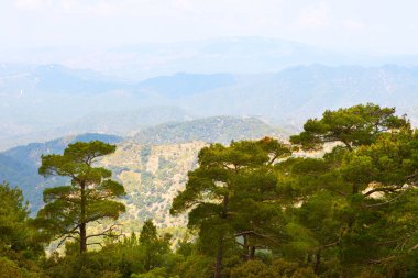 Kıbrıs adasının batı kesimindeki Troodos dağları