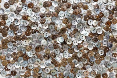 İncinin doğal anasından yapılmış küçük düğmeler. Düz yatış, Üst Görünüm